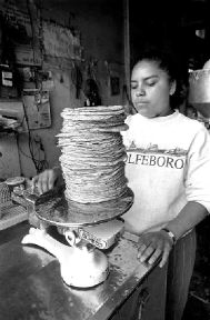 *tortillas-venta-jpg