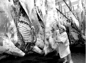 GERMANY_HEALTH_MADCOW