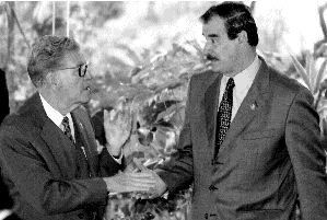 fox-alcaine-suterm-1