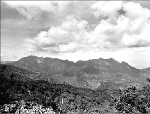 chimalapas-aspecto-jpg