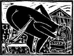 la busqueda de la justicia