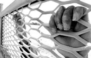 *tijuana-migrantes8-jpg