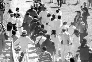 monos-blancos-1a