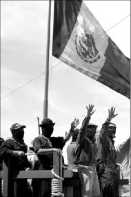zocalo59