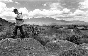 Ťteotitlan-carrete-istmo-oa