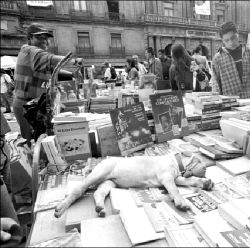 Ťperro-feria-libros-viejos