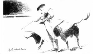 apunte novillada-toros