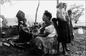 indig_desplazados_kwt