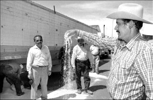 campesinos_juarez09