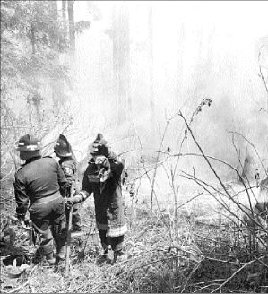 ajusco_incendio1408a