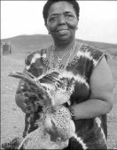 Cesaria Evora