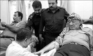 arafat_attacks_reax_