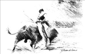 dibujo toros