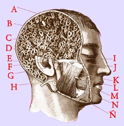 ANATOMIA A LA LETRA, COLLAGE DE PABLO MOYA