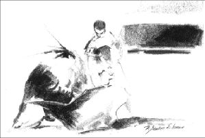 dibujo toros-F. Barba