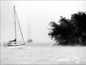 weather michelle_ttt6