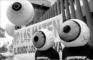 greenpeace_whales_whn