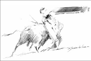 dibujo toros-Zotoluco