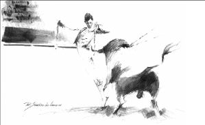 dubujo toros-R. Ortega