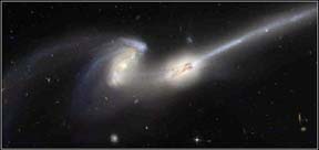h_hubble_ac_mice_02.jpg-b/n