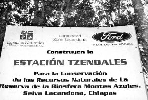 montes-ford 001