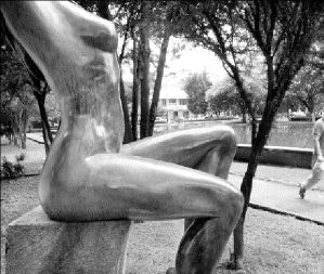 vouyerista_polanco_01