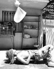 calor