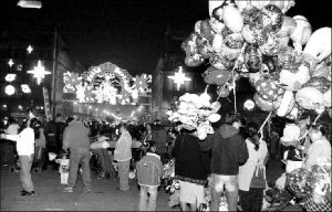 verbena_zocalo_06