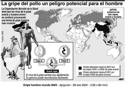 PAS030-115829-grh