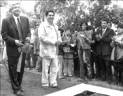 peje-pozo