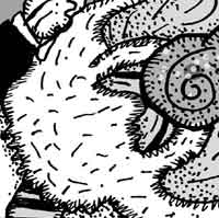 Magú