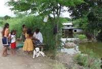 Varias familias damnificadas por las recientes inundaciones en el municipio de Pánuco, Veracruz, se niegan a trasladarse a los albergues y se han instalado sobre un antiguo muro de contención conocido como el borde de Salvasúchil