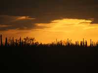 Zona desértica del municipio sonorense de Plutarco Elías Calles, cuya cabecera es Sonoyta, donde se planea construir un tiradero de desechos tóxicos. El área está a 30 kilómetros de la frontera con Estados Unidos