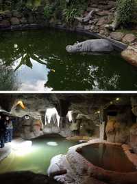 Aspectos de la residencia decomisada por la SIEDO, ubicada en el Camino Real a Temazcaltitla, en la colonia Santa Rosa Xochiac, delegación Álvaro Obregón. En el lugar fueron encontrados animales salvajes como leones, tigres, panteras y un hipopótamo