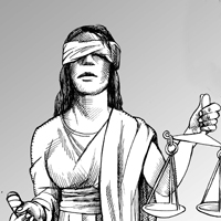 Mostrar el cartón