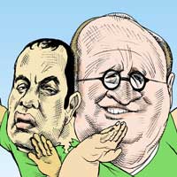 Mostrar el cartón