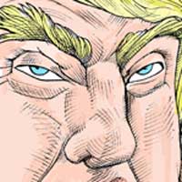 Mostrar el cartón