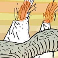 Mostrar el cartón