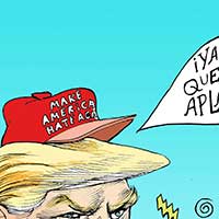 Mostrar el cartón
