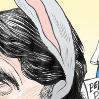 Mostrar el cartón
