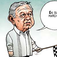 Mostrar el cartón