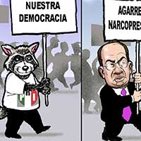 Mostrar el cartón