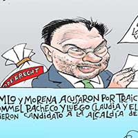 Mostrar el cartón