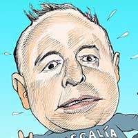 Mostrar el cartón