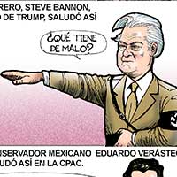 Mostrar el cartón