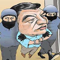 Mostrar el cartón