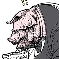 Mostrar el cartón