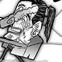 Mostrar el cartón