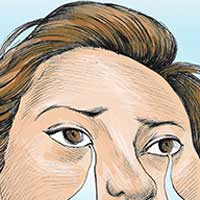 Mostrar el cartón