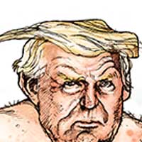 Mostrar el cartón
